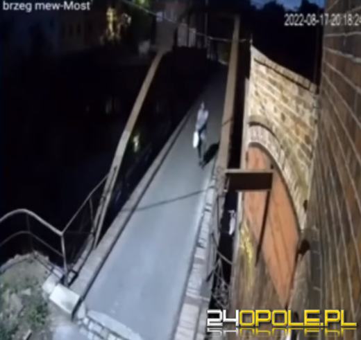 Znęcał się nad kotem. Uchwyciła go kamera monitoringu