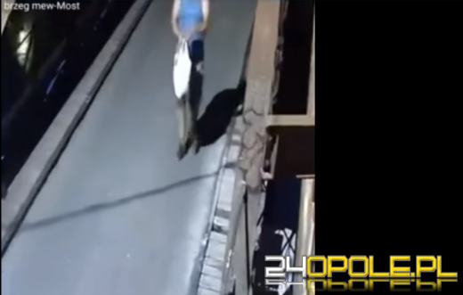 Znęcał się nad kotem. Uchwyciła go kamera monitoringu