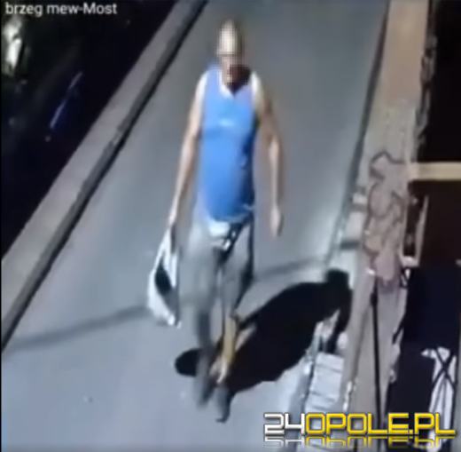 Znęcał się nad kotem. Uchwyciła go kamera monitoringu