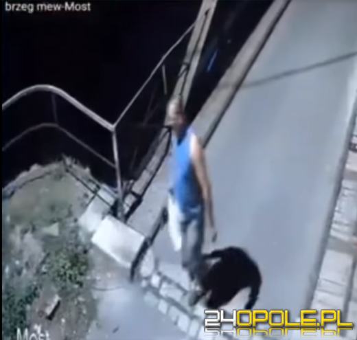 Znęcał się nad kotem. Uchwyciła go kamera monitoringu