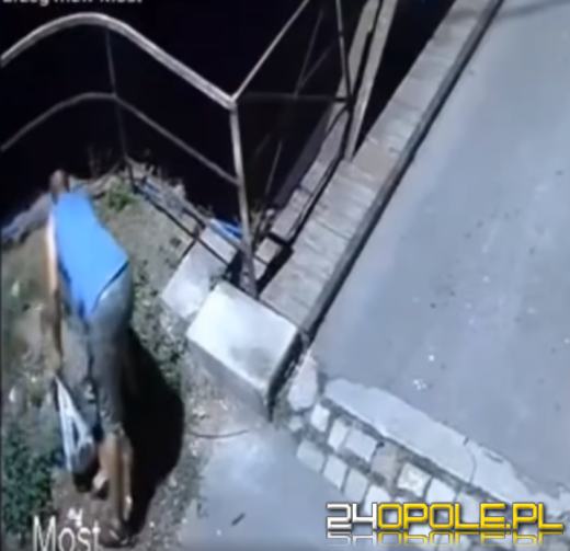 Znęcał się nad kotem. Uchwyciła go kamera monitoringu