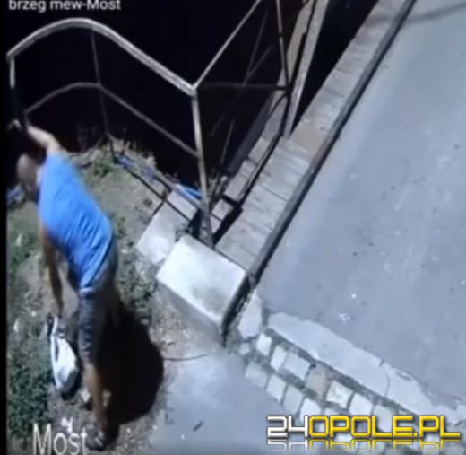 Znęcał się nad kotem. Uchwyciła go kamera monitoringu