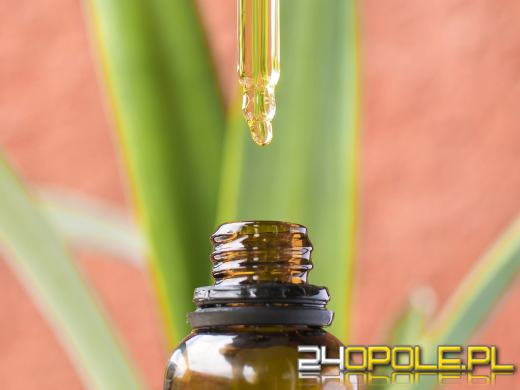 Czy suplementacja CBD jest bezpieczna? Przeciwwskazania i możliwe skutki uboczne