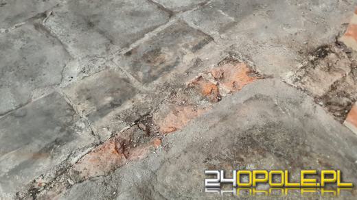 Pieniądze na badanie zabytkowych płyt nagrobnych z Opolskiej Katedry