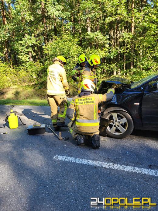 Zderzenie kilku pojazdów w Zawadzkiem 