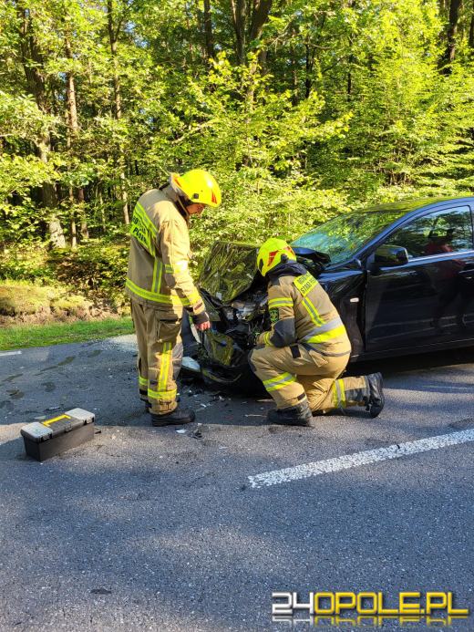 Zderzenie kilku pojazdów w Zawadzkiem 