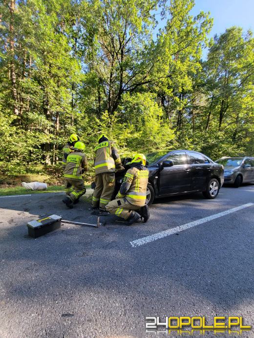 Zderzenie kilku pojazdów w Zawadzkiem 