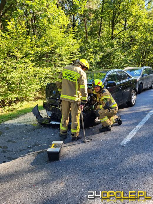 Zderzenie kilku pojazdów w Zawadzkiem 