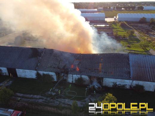 Pożar magazynu ze słomą. W akcji kilkanaście zastępów straży