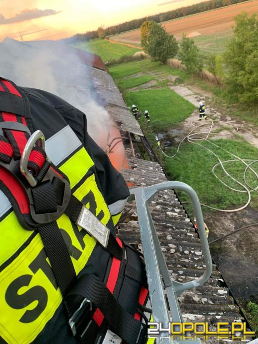 Pożar magazynu ze słomą. W akcji kilkanaście zastępów straży