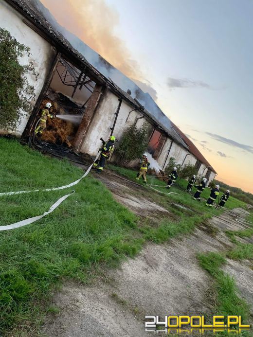 Pożar magazynu ze słomą. W akcji kilkanaście zastępów straży