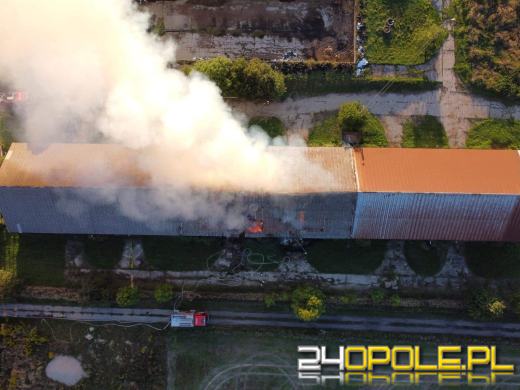 Pożar magazynu ze słomą. W akcji kilkanaście zastępów straży