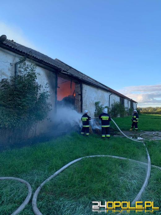 Pożar magazynu ze słomą. W akcji kilkanaście zastępów straży