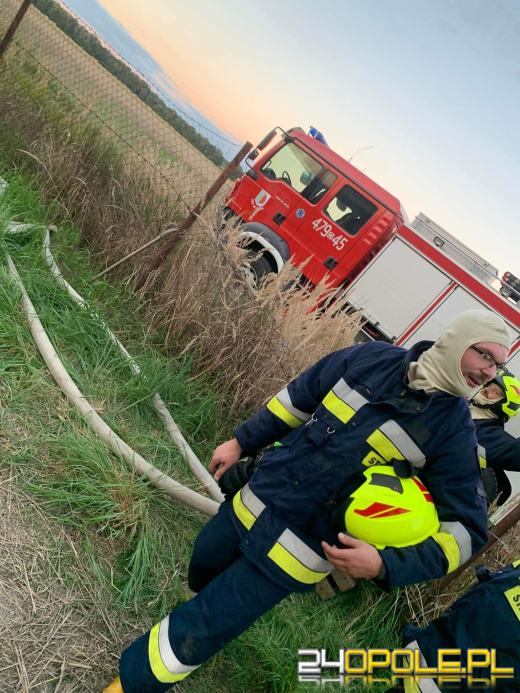 Pożar magazynu ze słomą. W akcji kilkanaście zastępów straży