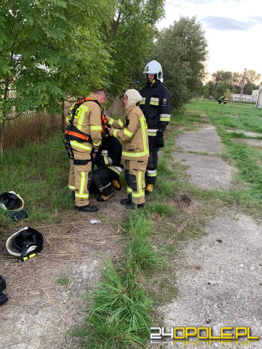 Pożar magazynu ze słomą. W akcji kilkanaście zastępów straży