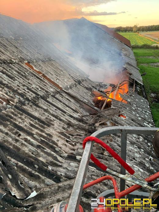 Pożar magazynu ze słomą. W akcji kilkanaście zastępów straży