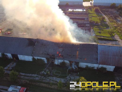 Pożar magazynu ze słomą. W akcji kilkanaście zastępów straży