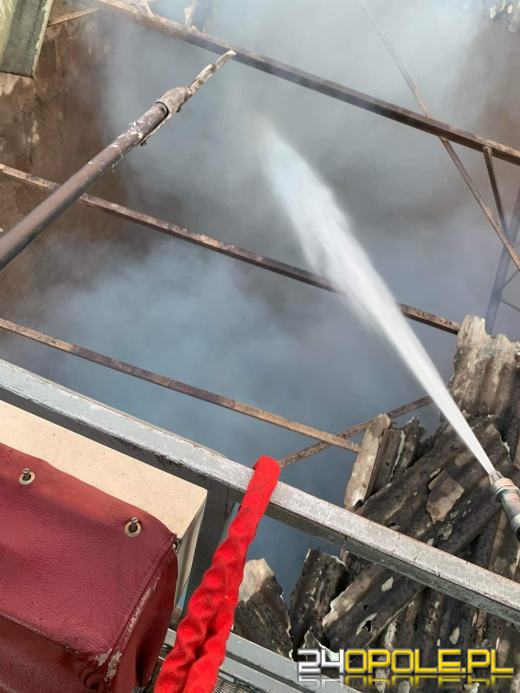 Pożar magazynu ze słomą. W akcji kilkanaście zastępów straży