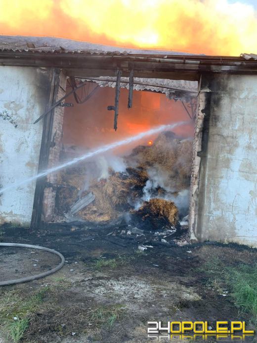 Pożar magazynu ze słomą. W akcji kilkanaście zastępów straży