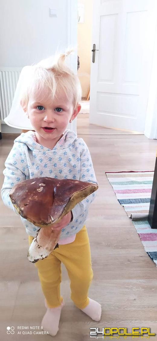 Są grzyby. Czytelnicy pochwalili się swoimi zbiorami