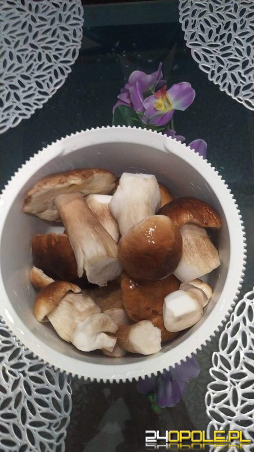 Są grzyby. Czytelnicy pochwalili się swoimi zbiorami