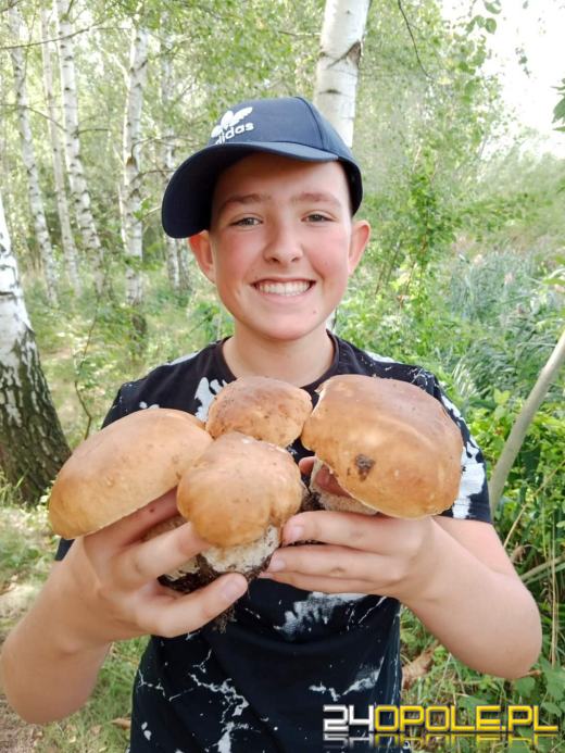 Są grzyby. Czytelnicy pochwalili się swoimi zbiorami