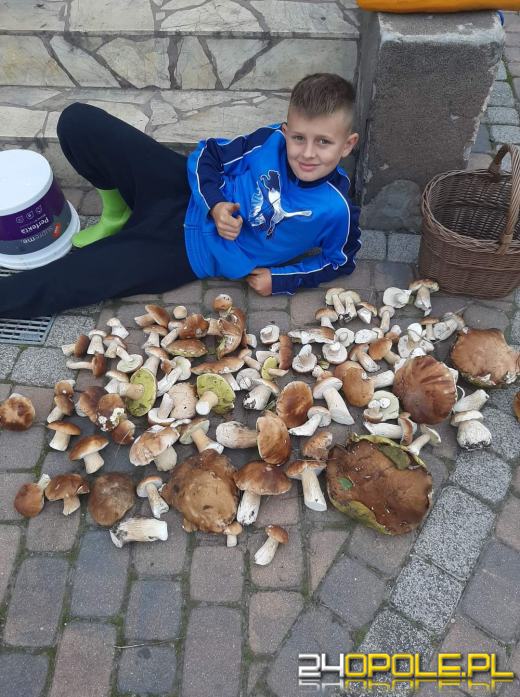 Są grzyby. Czytelnicy pochwalili się swoimi zbiorami