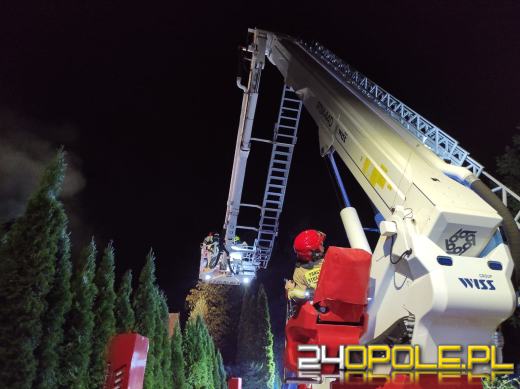 Nocna akcja strażaków w Niwkach. W ogniu drewniany budynek