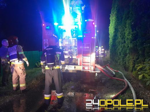 Nocna akcja strażaków w Niwkach. W ogniu drewniany budynek