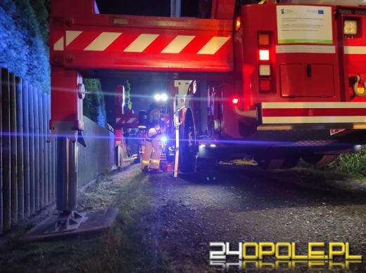 Nocna akcja strażaków w Niwkach. W ogniu drewniany budynek