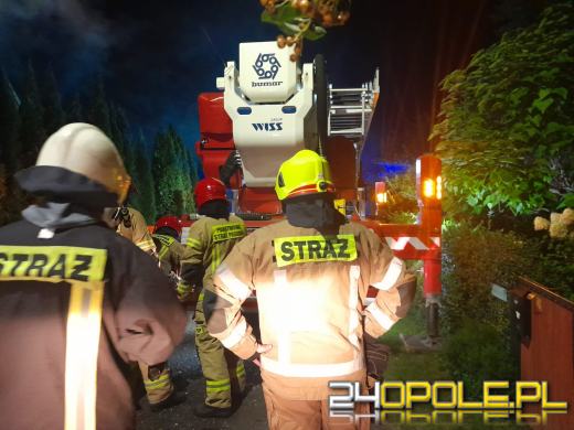 Nocna akcja strażaków w Niwkach. W ogniu drewniany budynek