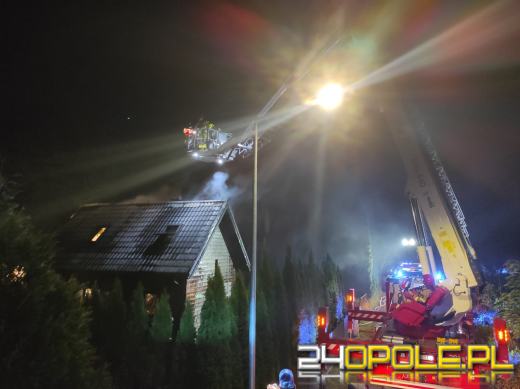 Nocna akcja strażaków w Niwkach. W ogniu drewniany budynek