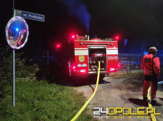 Nocna akcja strażaków w Niwkach. W ogniu drewniany budynek