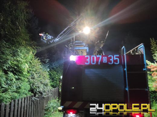 Nocna akcja strażaków w Niwkach. W ogniu drewniany budynek