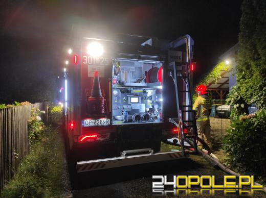 Nocna akcja strażaków w Niwkach. W ogniu drewniany budynek