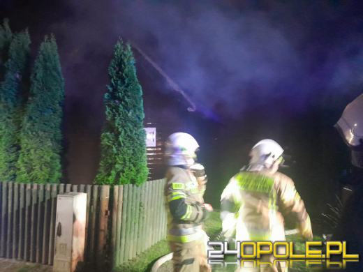 Nocna akcja strażaków w Niwkach. W ogniu drewniany budynek