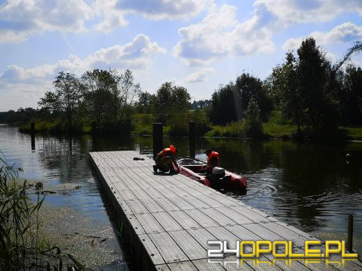 Kolejny dzień trwa akcja odławiania śniętych ryb na Kanale Gliwickim