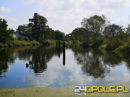 Kolejny dzień trwa akcja odławiania śniętych ryb na Kanale Gliwickim