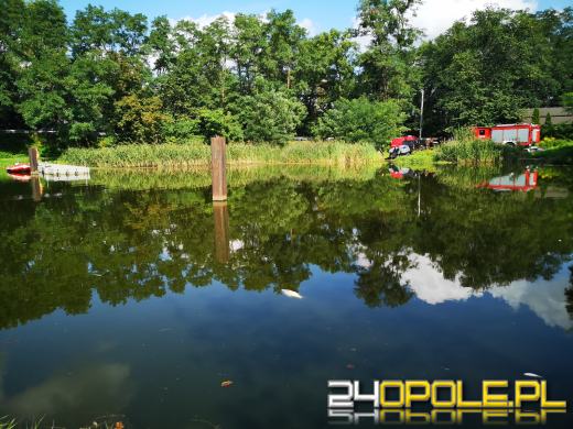 Kolejny dzień trwa akcja odławiania śniętych ryb na Kanale Gliwickim