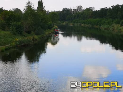 Kolejny dzień trwa akcja odławiania śniętych ryb na Kanale Gliwickim