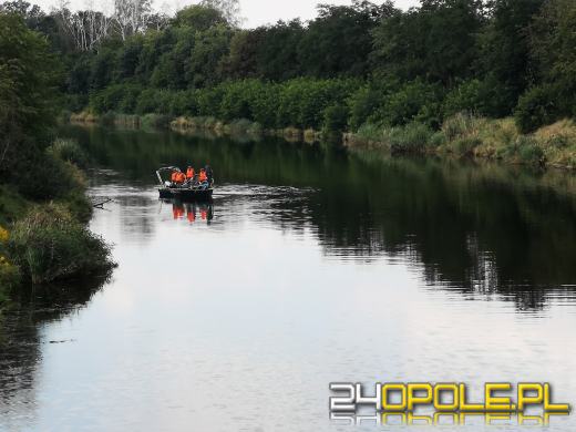 Kolejny dzień trwa akcja odławiania śniętych ryb na Kanale Gliwickim