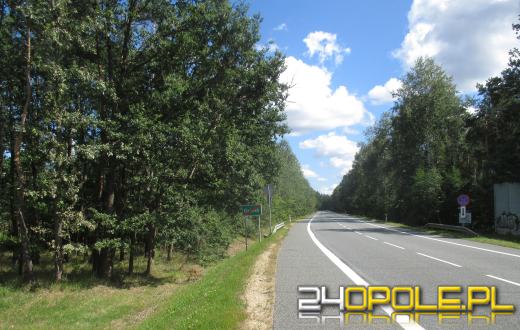 Ścieżki rowerowe w ciągu DK46. Trwa opracowywanie dokumentacji projektowej