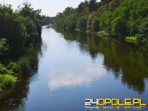 Uwaga! Wydano zakaz korzystania z wód Kanału Gliwickiego