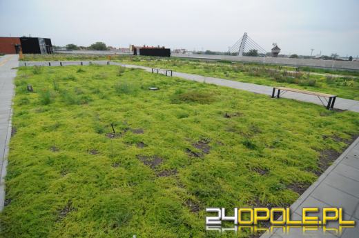Odwiedziliśmy budowę Centrum Przesiadkowego Opole Główne. Zielony dach robi wrażenie