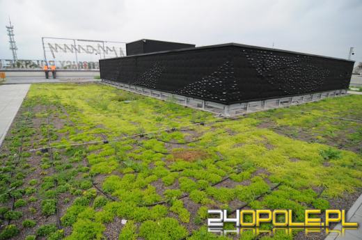 Odwiedziliśmy budowę Centrum Przesiadkowego Opole Główne. Zielony dach robi wrażenie