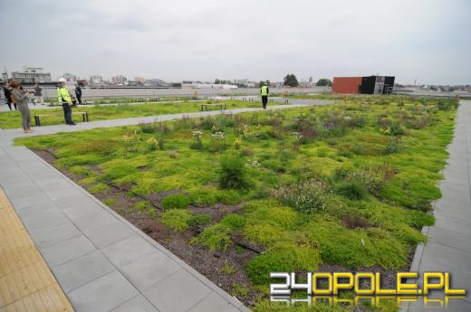 Odwiedziliśmy budowę Centrum Przesiadkowego Opole Główne. Zielony dach robi wrażenie