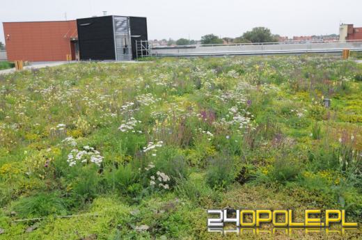 Odwiedziliśmy budowę Centrum Przesiadkowego Opole Główne. Zielony dach robi wrażenie