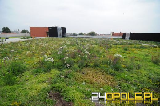 Odwiedziliśmy budowę Centrum Przesiadkowego Opole Główne. Zielony dach robi wrażenie