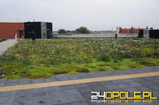 Odwiedziliśmy budowę Centrum Przesiadkowego Opole Główne. Zielony dach robi wrażenie