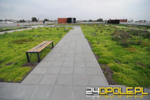 Odwiedziliśmy budowę Centrum Przesiadkowego Opole Główne. Zielony dach robi wrażenie